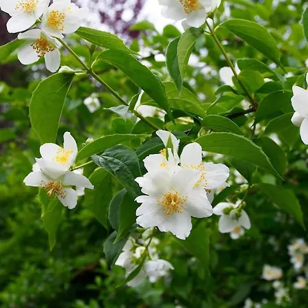 Erholung Im Main-tauber-kreis Niederstetten