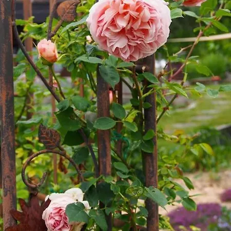 アパート Erholung Im Main-tauber-kreis