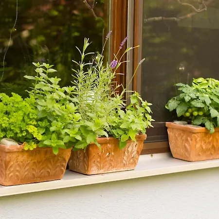 Erholung Im Main-tauber-kreis * Niederstetten