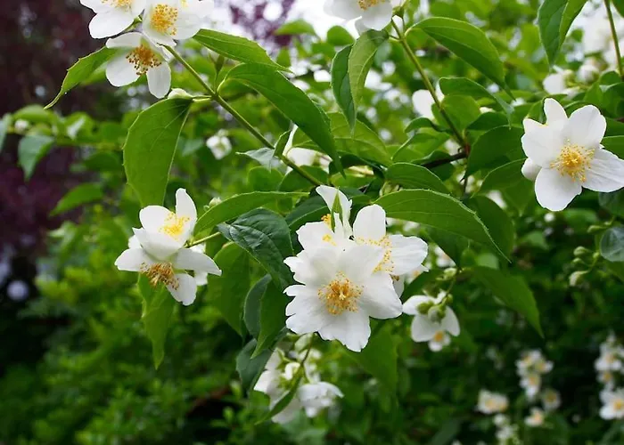 Erholung Im Main-tauber-kreis Niederstetten